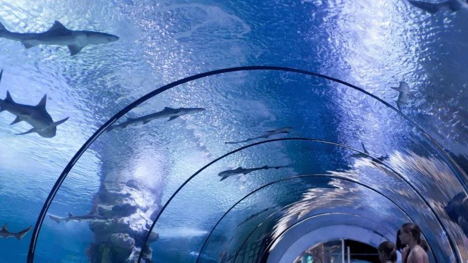 Les parcours en aquarium sont-ils uniquement à l'intérieur ?